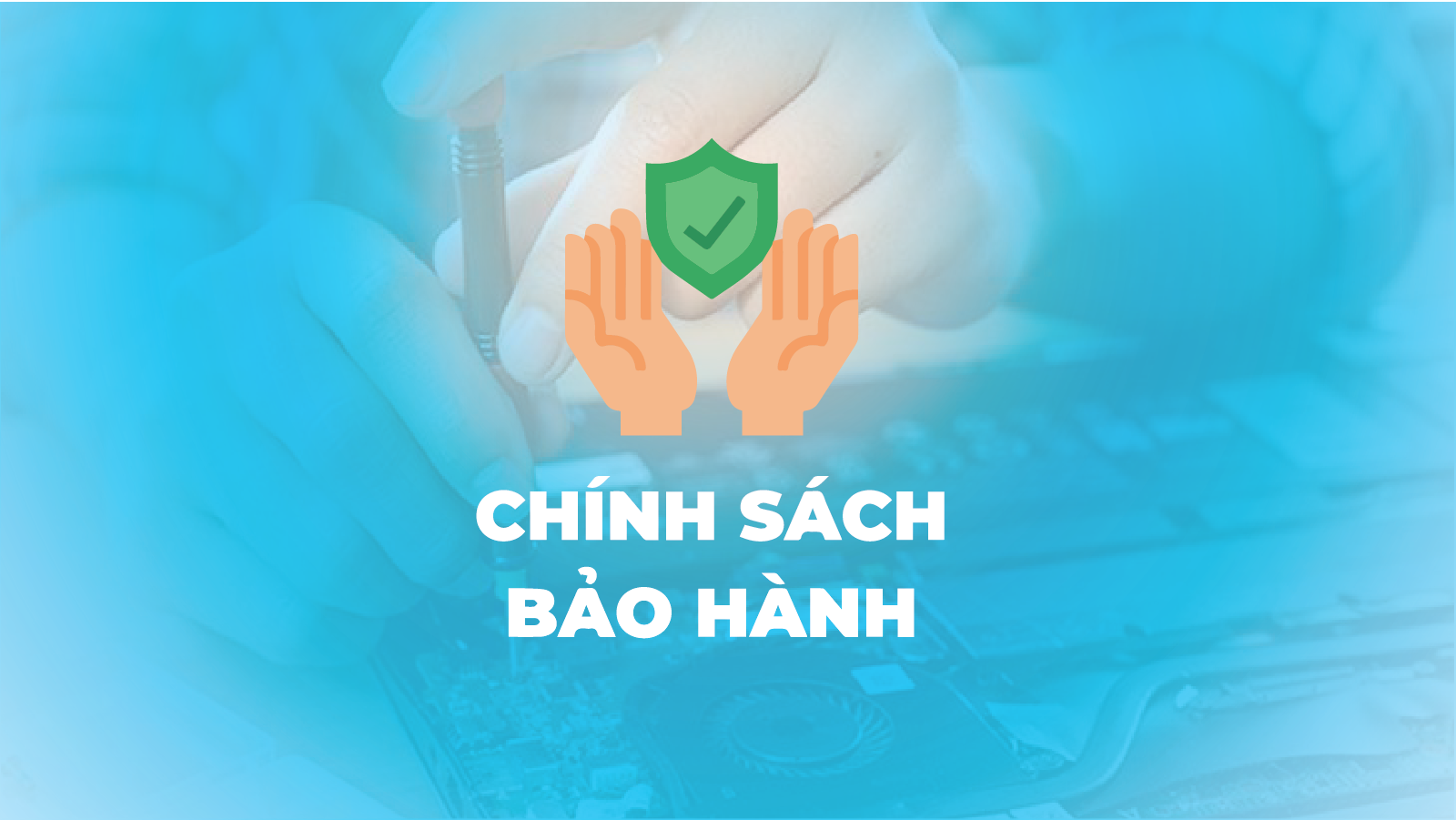 Bảo hành